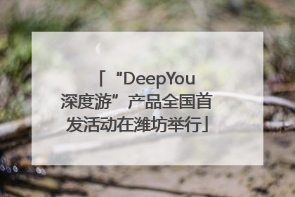 “DeepYou深度游”产品全国首发活动在潍坊举行