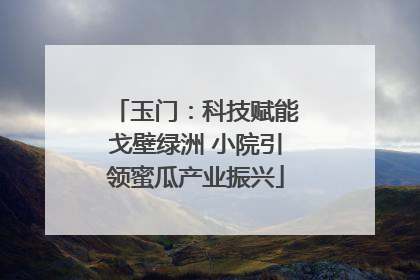 玉门：科技赋能戈壁绿洲 小院引领蜜瓜产业振兴