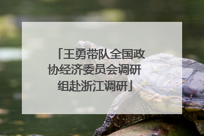 王勇带队全国政协经济委员会调研组赴浙江调研