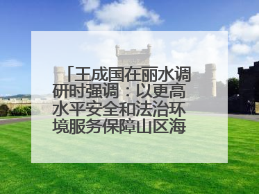 王成国在丽水调研时强调：以更高水平安全和法治环境服务保障山区海岛县高质量发展