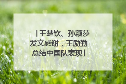 王楚钦、孙颖莎发文感谢，王励勤总结中国队表现