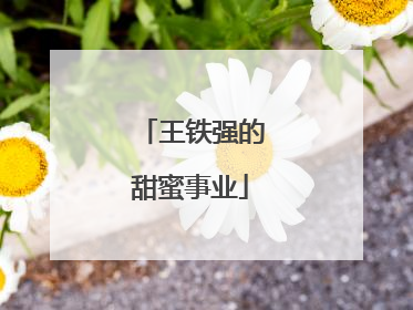 王铁强的甜蜜事业