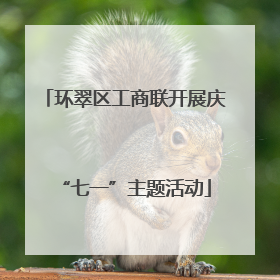 环翠区工商联开展庆“七一”主题活动