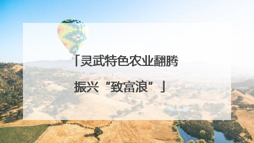 灵武特色农业翻腾振兴“致富浪”