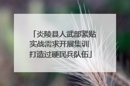 炎陵县人武部紧贴实战需求开展集训 打造过硬民兵队伍
