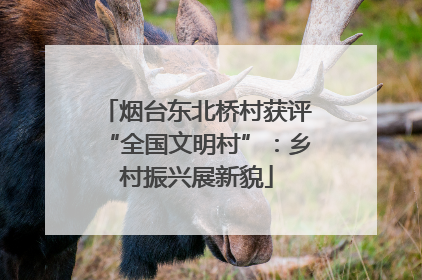 烟台东北桥村获评“全国文明村”：乡村振兴展新貌
