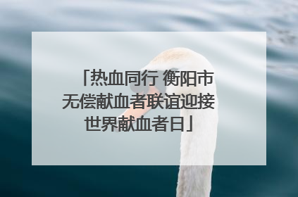 热血同行 衡阳市无偿献血者联谊迎接世界献血者日