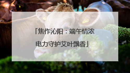 焦作沁阳：端午情浓 电力守护艾叶飘香