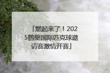燃起来了！2025鹤壁国际匹克球邀请赛激情开赛