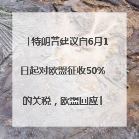 特朗普建议自6月1日起对欧盟征收50%的关税，欧盟回应