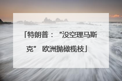 特朗普：“没空理马斯克” 欧洲抛橄榄枝