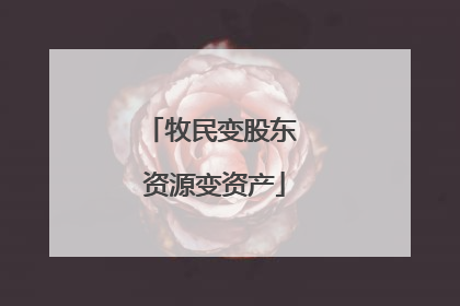 牧民变股东 资源变资产