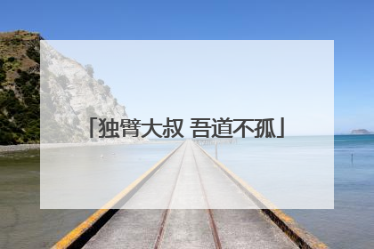 独臂大叔 吾道不孤