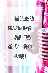 猫头鹰幼崽受惊拒食 民警“奶爸式”暖心投喂