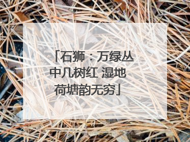 石狮：万绿丛中几树红 湿地荷塘韵无穷