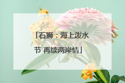 石狮：海上泼水节 再续两岸情