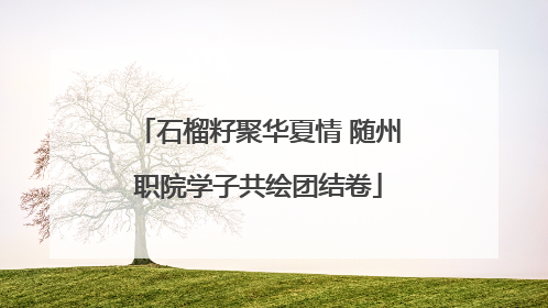 石榴籽聚华夏情 随州职院学子共绘团结卷