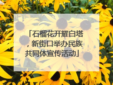 石榴花开耀白塔，新街口举办民族共同体宣传活动