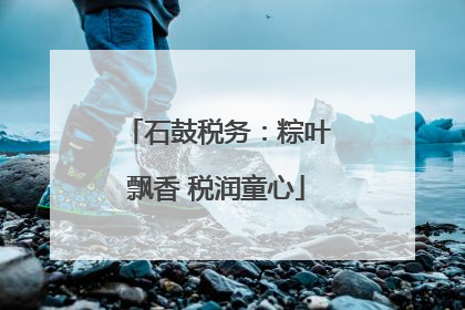 石鼓税务：粽叶飘香 税润童心