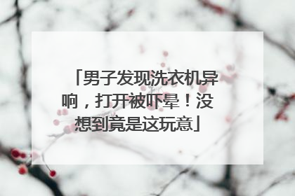 男子发现洗衣机异响，打开被吓晕！没想到竟是这玩意