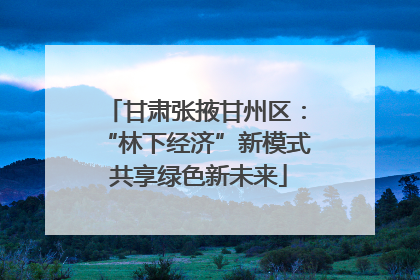 甘肃张掖甘州区：“林下经济”新模式 共享绿色新未来