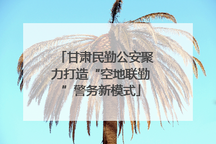 甘肃民勤公安聚力打造“空地联勤”警务新模式