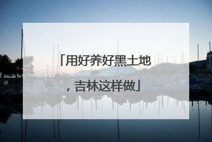 用好养好黑土地，吉林这样做