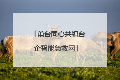 甬台同心共织台企智能急救网