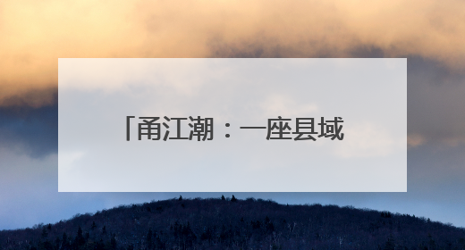 甬江潮：一座县域视角下的浙川协作