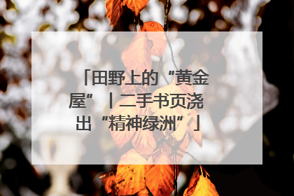 田野上的“黄金屋”丨二手书页浇出“精神绿洲”
