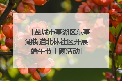盐城市亭湖区东亭湖街道北林社区开展端午节主题活动