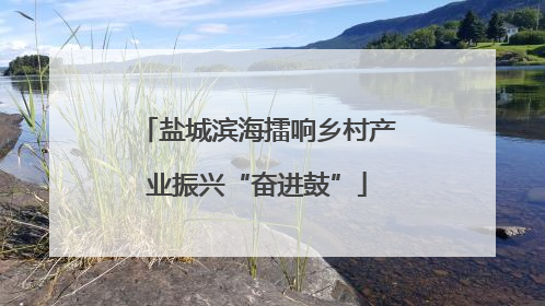 盐城滨海擂响乡村产业振兴“奋进鼓”