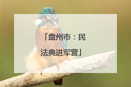 盘州市：民法典进军营