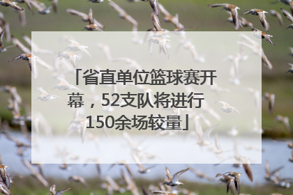省直单位篮球赛开幕，52支队将进行150余场较量