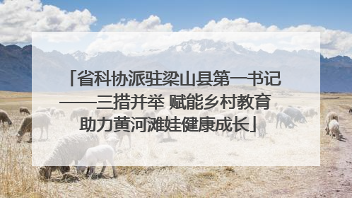 省科协派驻梁山县第一书记——三措并举 赋能乡村教育 助力黄河滩娃健康成长