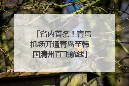 省内首条！青岛机场开通青岛至韩国清州直飞航线