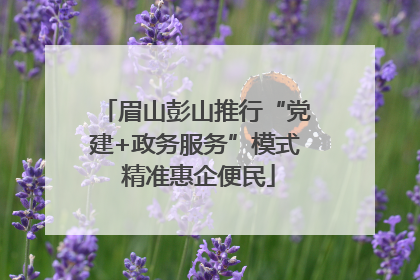 眉山彭山推行“党建+政务服务”模式 精准惠企便民