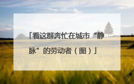 看这群奔忙在城市“静脉”的劳动者（图）