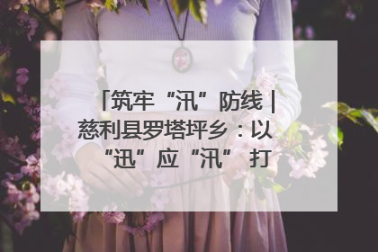 筑牢“汛”防线｜慈利县罗塔坪乡：以“迅”应“汛” 打赢暴雨防御战