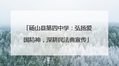 砀山县第四中学：弘扬爱国精神，深耕民法典宣传