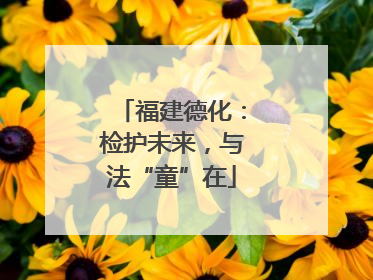 福建德化：检护未来，与法“童”在