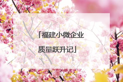 福建小微企业质量跃升记
