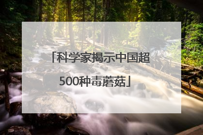 科学家揭示中国超500种毒蘑菇