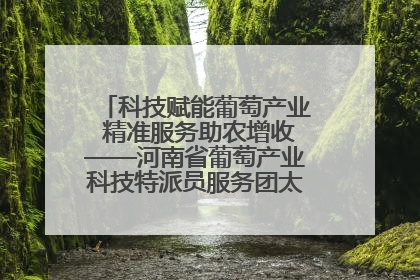 科技赋能葡萄产业 精准服务助农增收——河南省葡萄产业科技特派员服务团太康县科技服务纪实