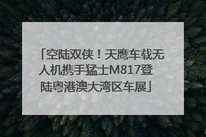 空陆双侠！天鹰车载无人机携手猛士M817登陆粤港澳大湾区车展