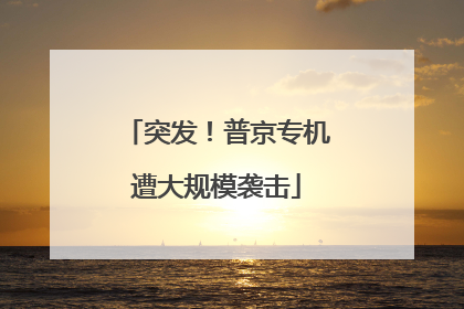 突发！普京专机遭大规模袭击