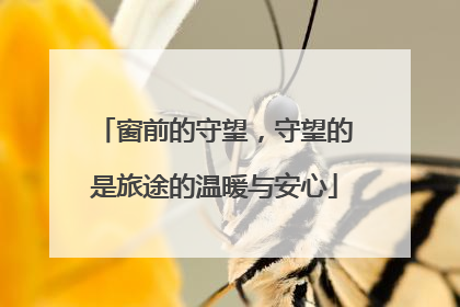 窗前的守望，守望的是旅途的温暖与安心
