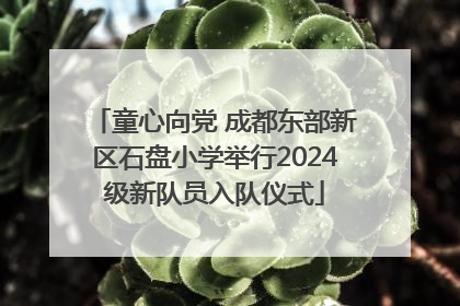 童心向党 成都东部新区石盘小学举行2024级新队员入队仪式