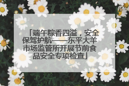 端午粽香四溢，安全保驾护航——东平大羊市场监管所开展节前食品安全专项检查