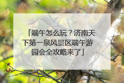 端午怎么玩？济南天下第一泉风景区端午游园会全攻略来了